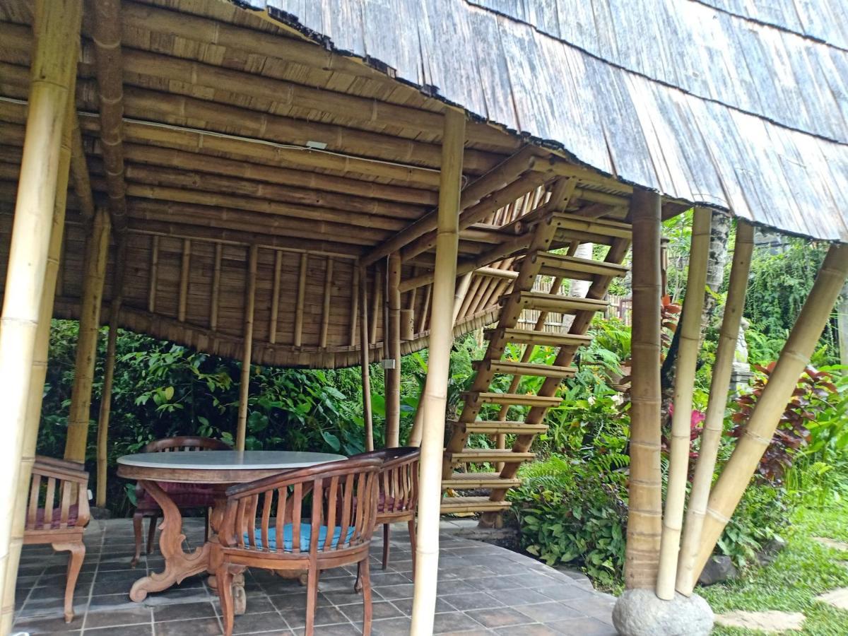 Jero Tumbuk Private Villa 셀랏 외부 사진