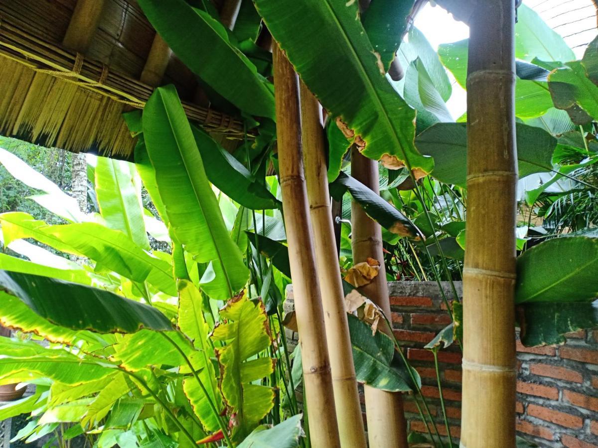 Jero Tumbuk Private Villa 셀랏 외부 사진