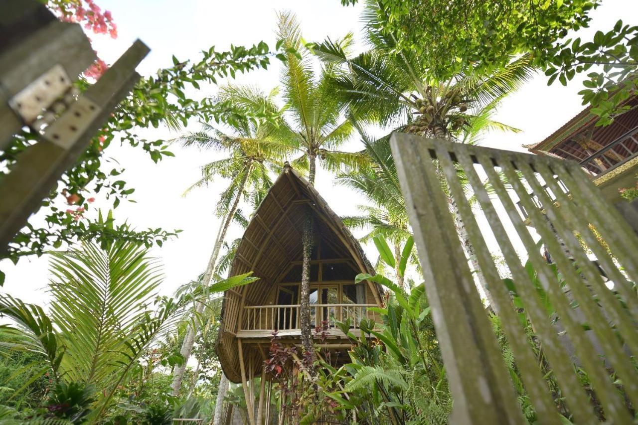 Jero Tumbuk Private Villa 셀랏 외부 사진