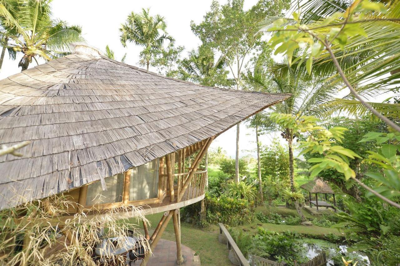 Jero Tumbuk Private Villa 셀랏 외부 사진