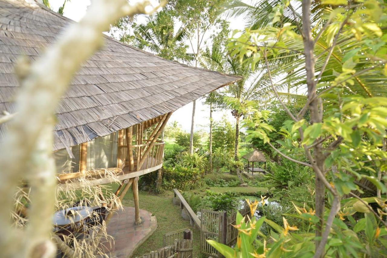 Jero Tumbuk Private Villa 셀랏 외부 사진